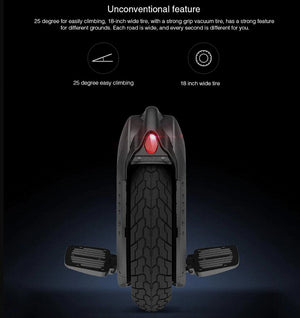 Original Ninebot One Z10 Self Balancing Wheel Scooter